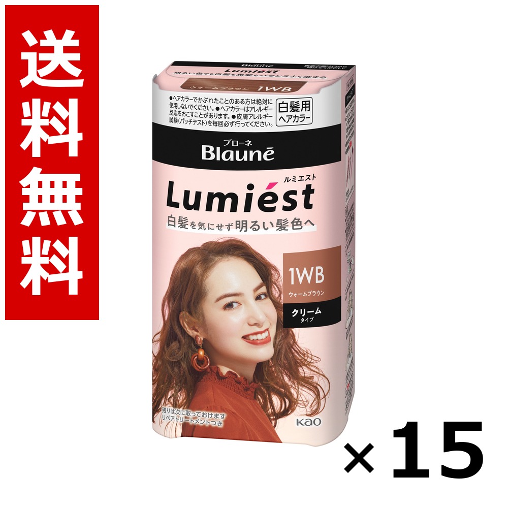 ブローネ ルミエスト ヘアカラー 1WB ウォームブラウン 108g × 15個/送料無料 花王 ブローネ 白髪染め ヘアカラー 部分染め ヘアケア まとめ買い 業務用 ケース販売 箱買い ストック 日用品 消耗品 大容量|北海道小六