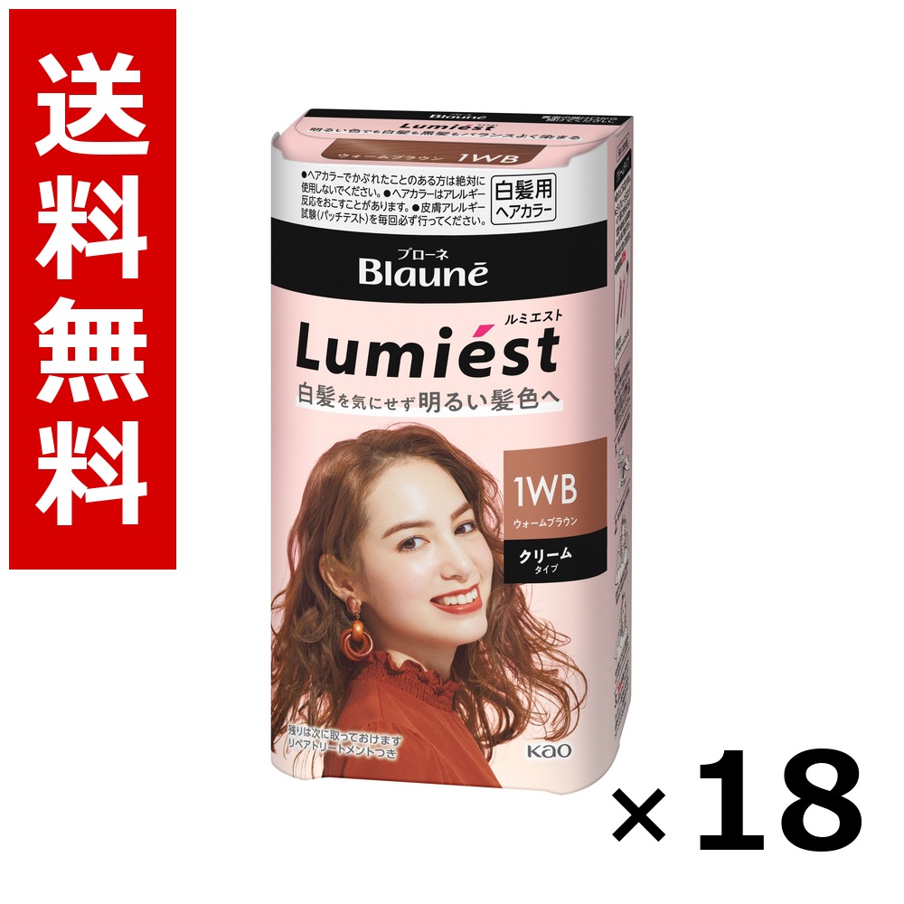 ブローネ ルミエスト 髪の毛色つや 1WB ウォーム赤銅色 108g × 18個／貨物輸送無料 名取り草 ブローネ  白髪染め 髪の毛色つや 分け取り染め 髪の毛世話をする まとめ買い 御勤め用 容れもの売りわたす 箱買いとり 店卸し資産 日装置 疲労困憊品 大静電容量