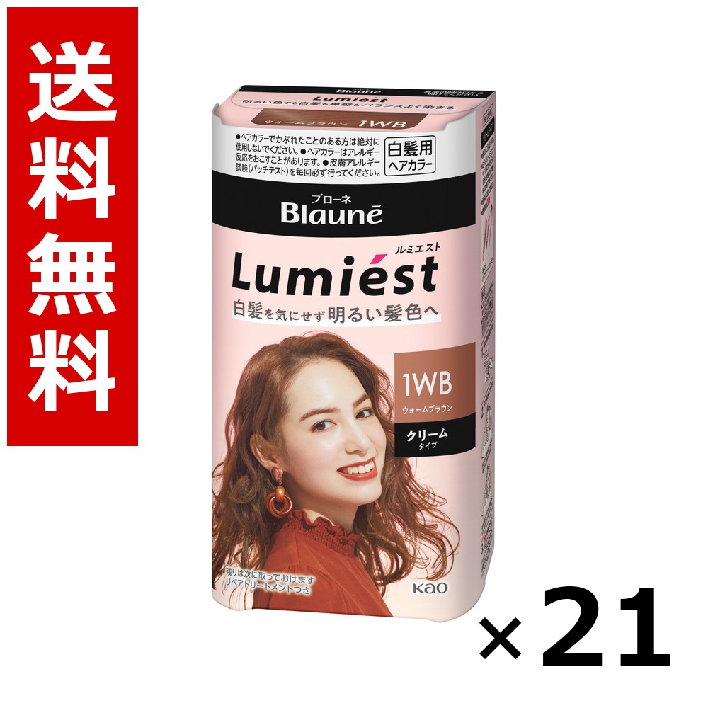 ブローネ ルミエスト 髪の毛色つや 1WB ウォーム赤銅色 108g × 21個／貨物輸送無料 名取り草 ブローネ  白髪染め 髪の毛色つや 分け取り染め 髪の毛世話をする まとめ買い 御勤め用 容れもの売りわたす 箱買いとり 店卸し資産 日装置 疲労困憊品 大静電容量