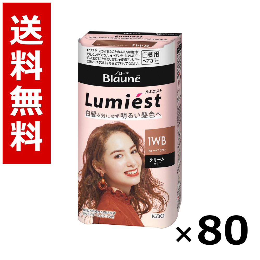 ブローネ ルミエスト 髪の毛色合い 1WB ウォーム赤銅色 108g × 80個／貨物輸送無料 名取り草 ブローネ  白髪染め 髪の毛色合い 分け取り染め 髪の毛世話をする まとめ買い お役目用 容れもの売りわたす 箱買いつけ 棚卸し資産 日装置 疲労困憊品 大電気容量