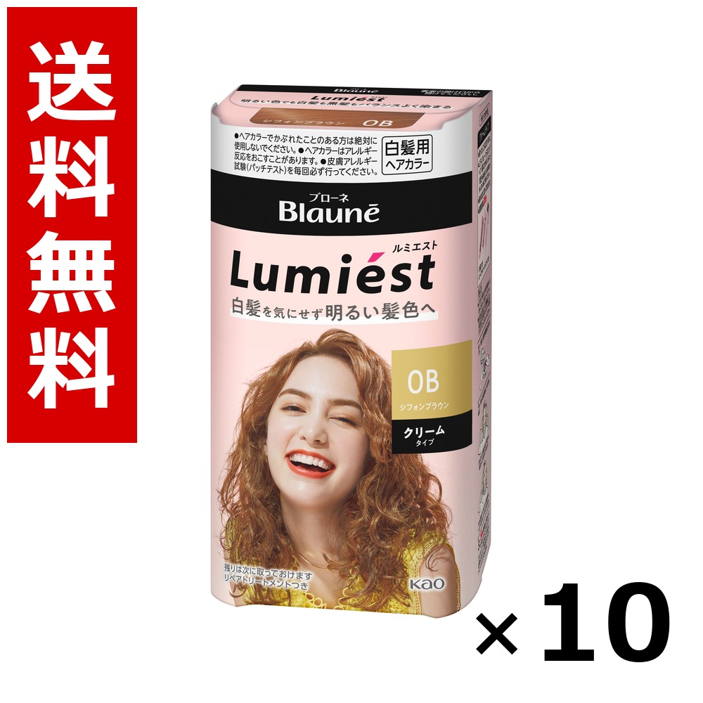 ブローネ ルミエスト ヘアカラー 0B シフォンブラウン 108g × 10個/送料無料 花王 ブローネ 白髪染め ヘアカラー 部分染め ヘアケア まとめ買い 業務用 ケース販売 箱買い ストック 日用品 消耗品 大容量|北海道小六