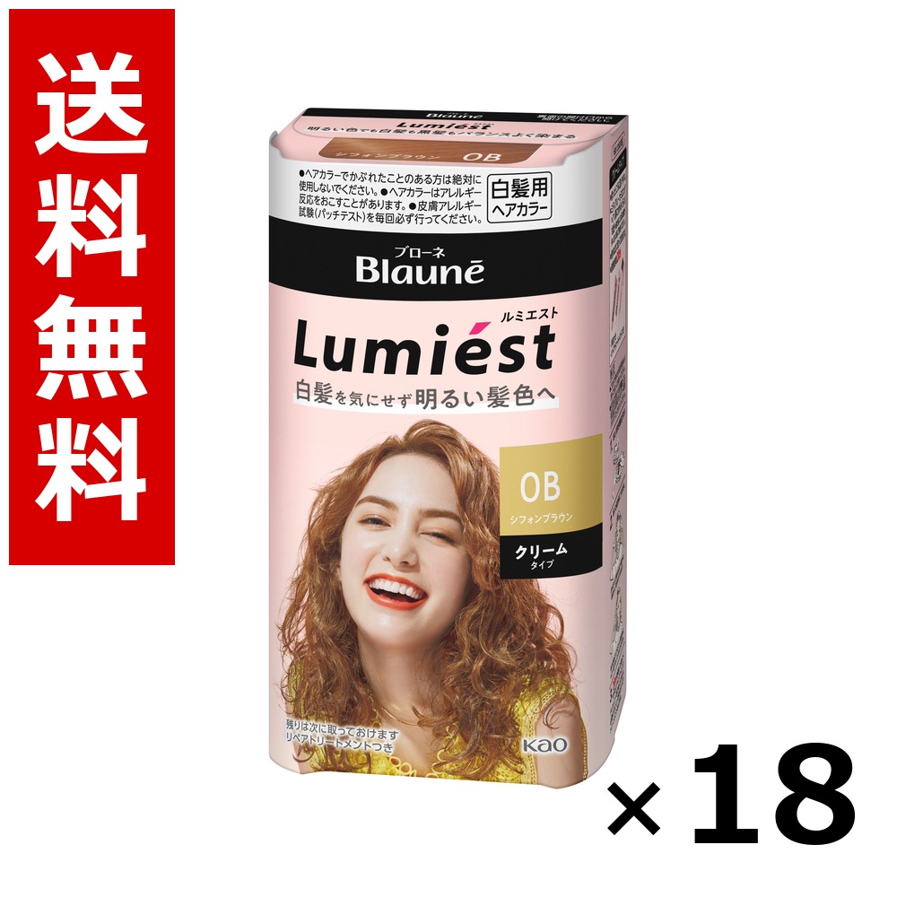 ブローネ ルミエスト 髪の毛色つや 0B シフォン赤銅色 108g × 18個／貨物輸送無料 名取り草 ブローネ  白髪染め 髪の毛色つや 分け取り染め 髪の毛世話をする まとめ買い 御勤め用 容れもの売りわたす 箱買いとり 店卸し資産 日装置 疲労困憊品 大静電容量