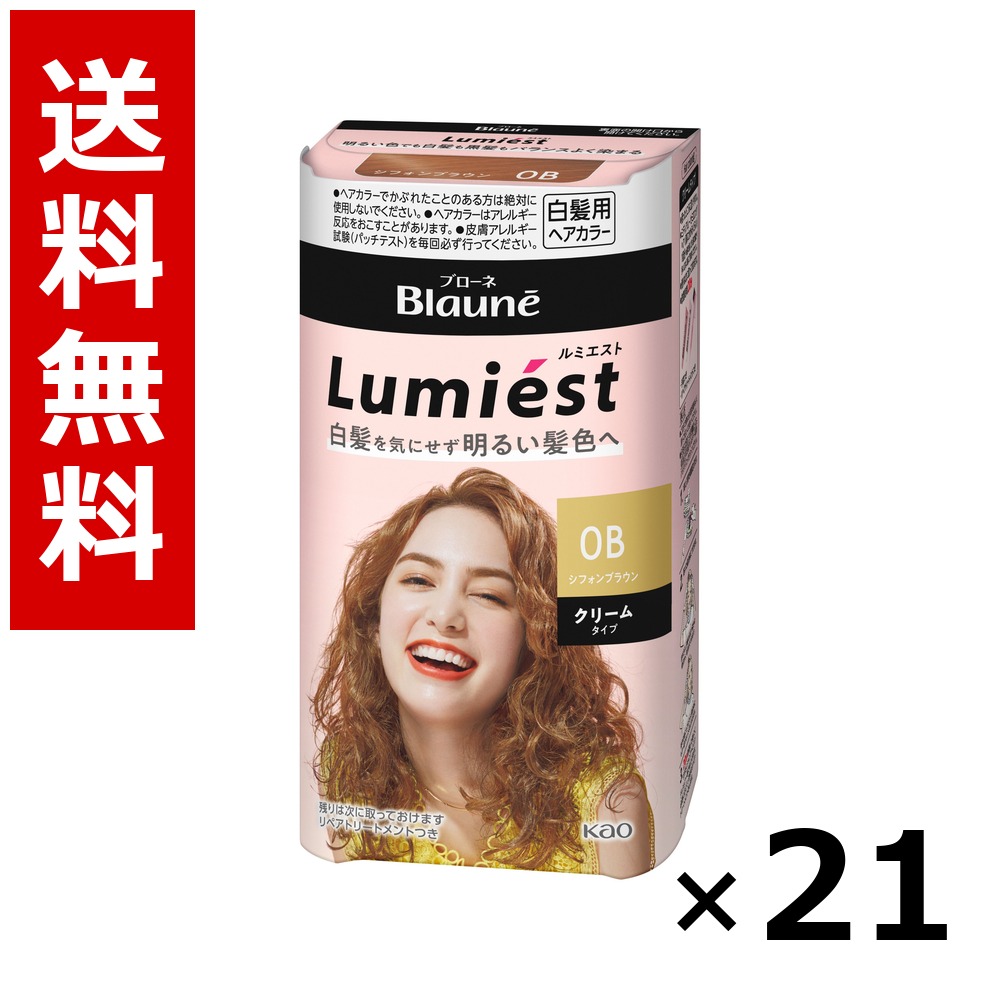 ブローネ ルミエスト ヘアカラー 0B シフォンブラウン 108g &times; 21個／送料無料 花王 ブローネ 白髪染め ヘアカラー 部分染め ヘアケア まとめ買い 業務用 ケース販売 箱買い ストック 日用品 消耗品 大容量｜北海道小六