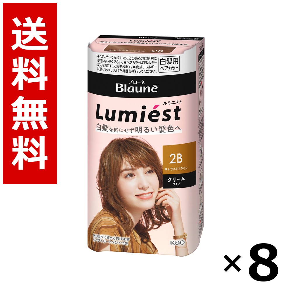 ブローネ ルミエスト 髪の毛色つや 2B カルメ焼赤銅色 108g × 8個／貨物輸送無料 名取り草 ブローネ  白髪染め 髪の毛色つや 分け取り染め 髪の毛世話をする まとめ買い 御勤め用 容れもの売りわたす 箱買いとり 店卸し資産 日装置 疲労困憊品 大静電容量