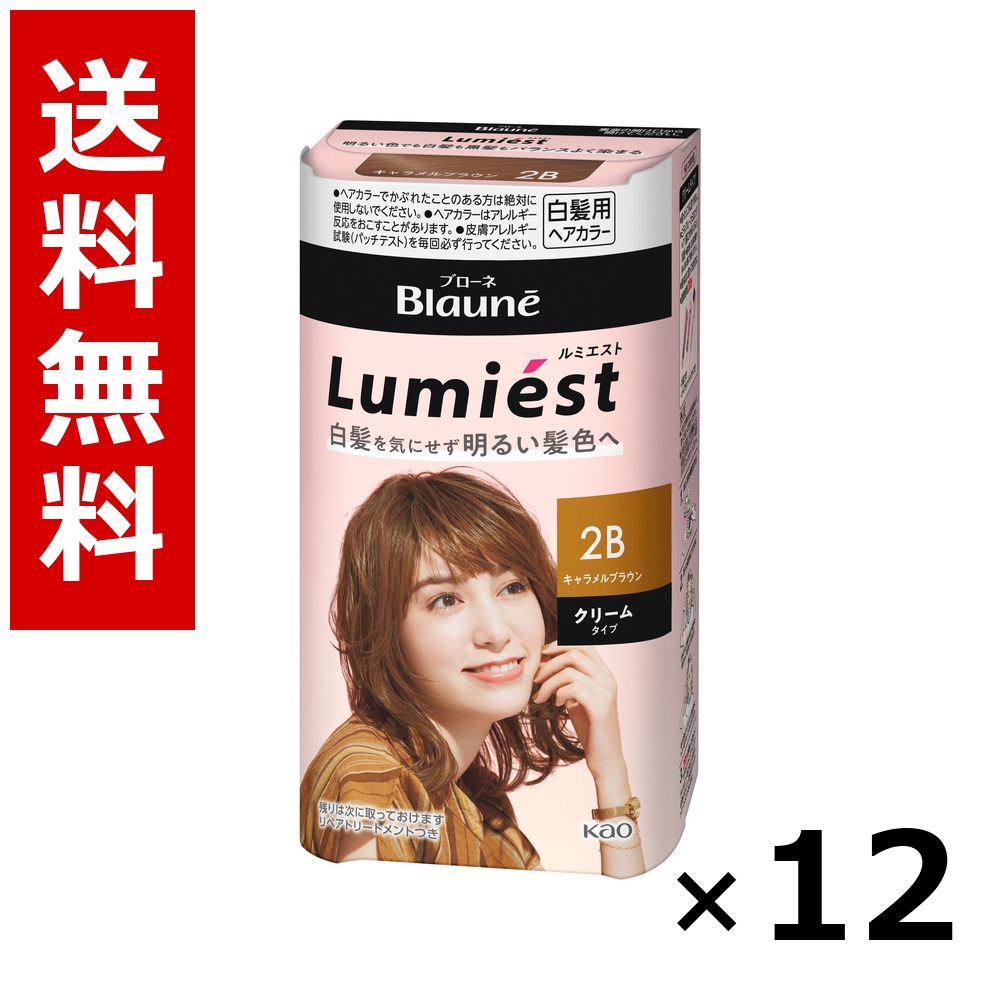 ブローネ ルミエスト ヘアカラー 2B キャラメルブラウン 108g × 12個/送料無料 花王 ブローネ 白髪染め ヘアカラー 部分染め ヘアケア まとめ買い 業務用 ケース販売 箱買い ストック 日用品 消耗品 大容量|北海道小六