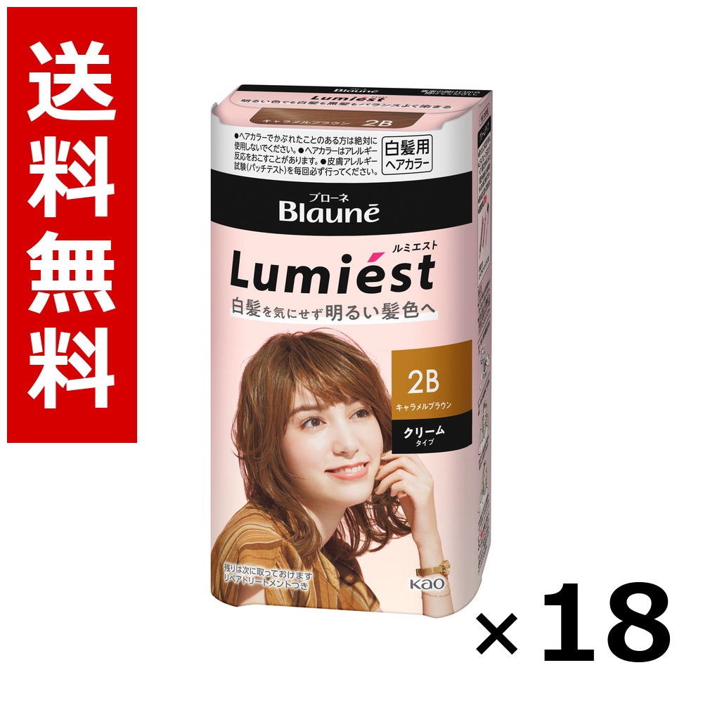 ブローネ ルミエスト 髪の毛色つや 2B カルメ焼赤銅色 108g × 18個／貨物輸送無料 名取り草 ブローネ  白髪染め 髪の毛色つや 分け取り染め 髪の毛世話をする まとめ買い 御勤め用 容れもの売りわたす 箱買いとり 店卸し資産 日装置 疲労困憊品 大静電容量