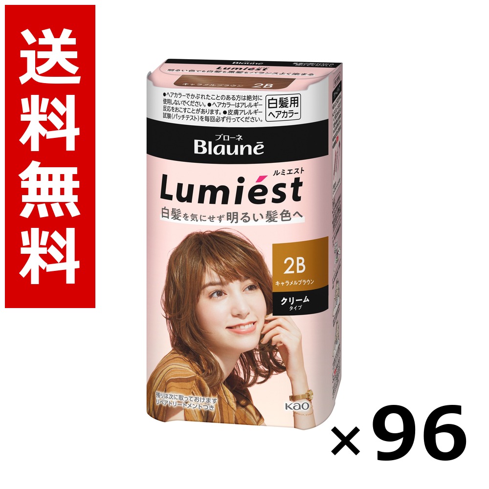 ブローネ ルミエスト 髪の毛色合い 2B カルメ焼赤銅色 108g × 96個／4容れもの 貨物輸送無料 名取り草 ブローネ  白髪染め 髪の毛色合い 分け取り染め 髪の毛世話をする まとめ買い お役目用 容れもの売りわたす 箱買いつけ 棚卸し資産 日装置 疲労困憊品 大電気容量