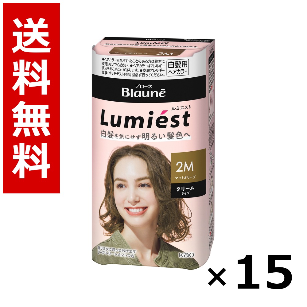 ブローネ ルミエスト ヘアカラー 2M マットオリーブ 108g × 15個/送料無料 花王 ブローネ 白髪染め ヘアカラー 部分染め ヘアケア まとめ買い 業務用 ケース販売 箱買い ストック 日用品 消耗品 大容量|北海道小六