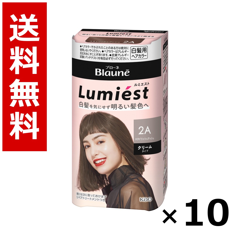 ブローネ ルミエスト ヘアカラー 2A スタイリッシュアッシュ 108g × 10個/送料無料 花王 ブローネ 白髪染め ヘアカラー 部分染め ヘアケア まとめ買い 業務用 ケース販売 箱買い ストック 日用品 消耗品 大容量|北海道小六