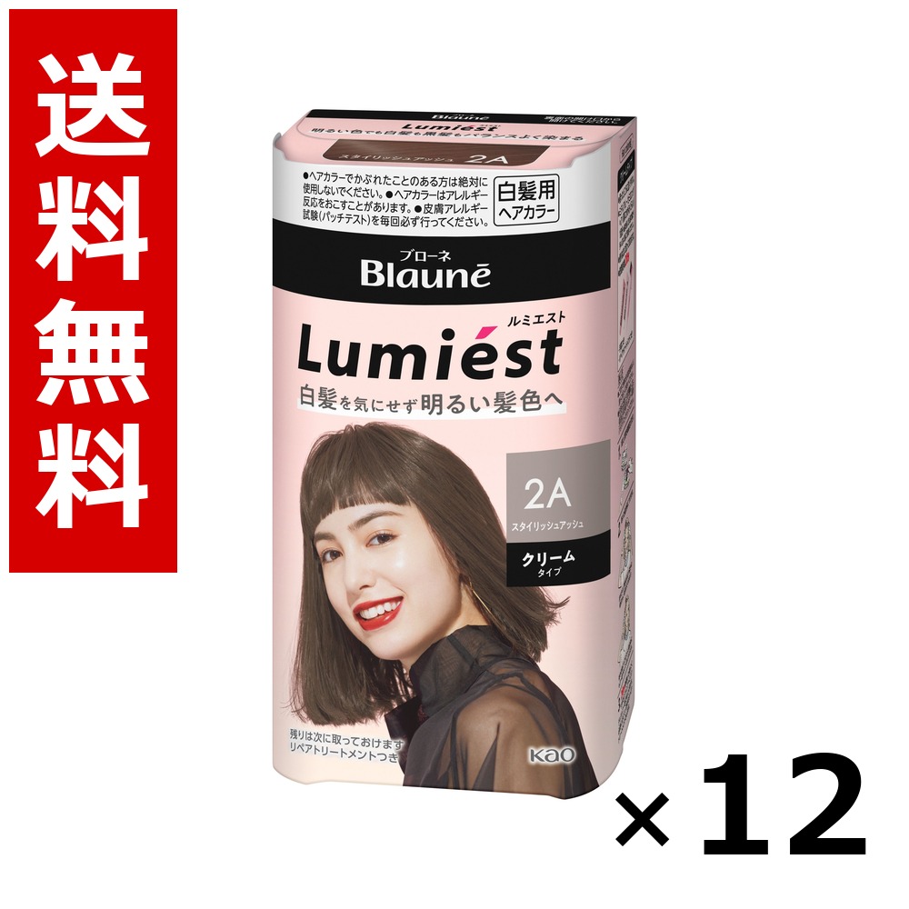 ブローネ ルミエスト ヘアカラー 2A スタイリッシュアッシュ 108g × 12個/送料無料 花王 ブローネ 白髪染め ヘアカラー 部分染め ヘアケア まとめ買い 業務用 ケース販売 箱買い ストック 日用品 消耗品 大容量|北海道小六