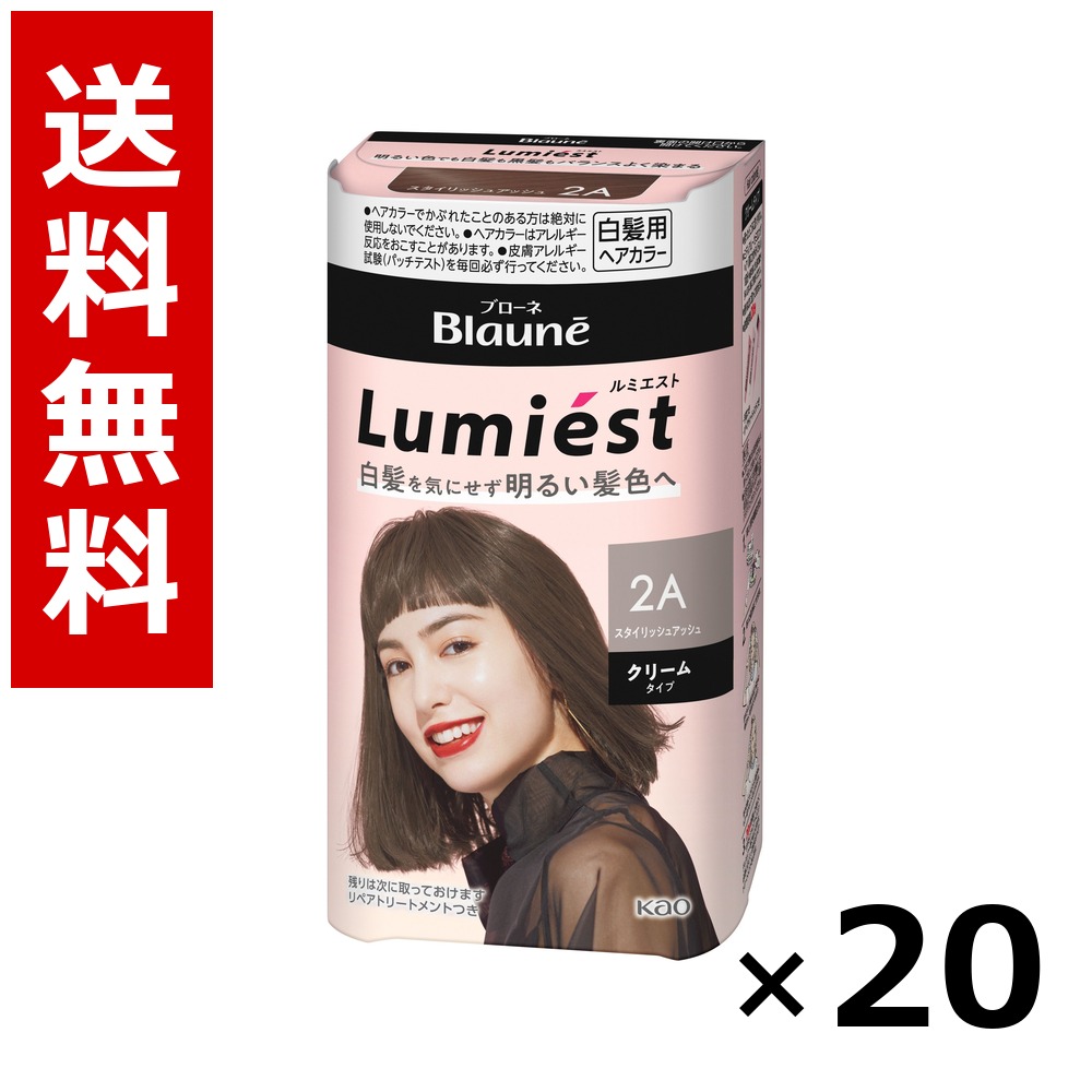 ブローネ ルミエスト 髪の毛色つや 2A スタイリッシュアッシュ 108g × 20個／貨物輸送無料 名取り草 ブローネ  白髪染め 髪の毛色つや 分け取り染め 髪の毛世話をする まとめ買い 御勤め用 容れもの売りわたす 箱買いとり 店卸し資産 日装置 疲労困憊品 大静電容量