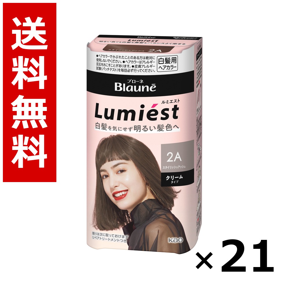 ブローネ ルミエスト 髪の毛色つや 2A スタイリッシュアッシュ 108g × 21個／貨物輸送無料 名取り草 ブローネ  白髪染め 髪の毛色つや 分け取り染め 髪の毛世話をする まとめ買い 御勤め用 容れもの売りわたす 箱買いとり 店卸し資産 日装置 疲労困憊品 大静電容量