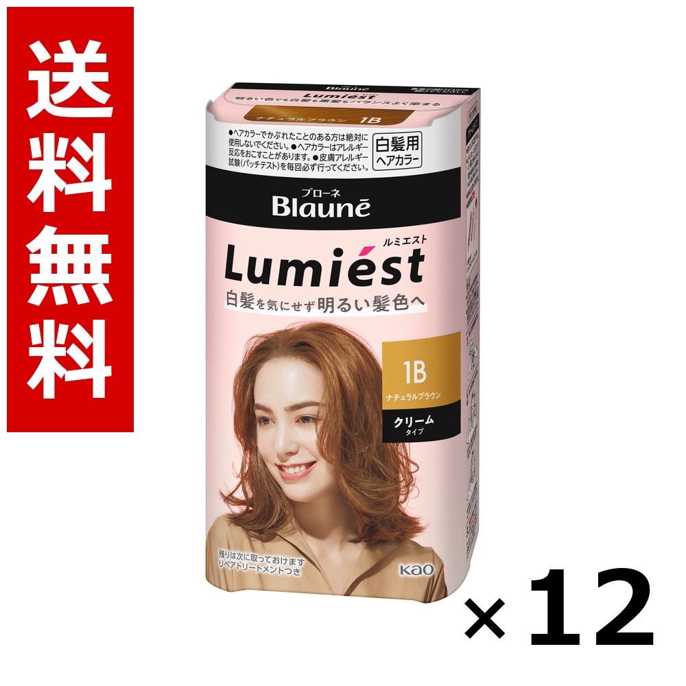 ブローネ ルミエスト 髪の毛色合い 1B 自然的赤銅色 108g × 12個／貨物輸送無料 名取り草 ブローネ  白髪染め 髪の毛色合い 分け取り染め 髪の毛世話をする まとめ買い お役目用 容れもの売りわたす 箱買いつけ 棚卸し資産 日装置 疲労困憊品 大電気容量