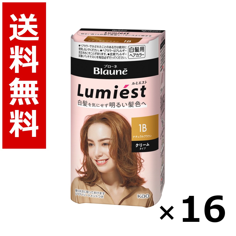 ブローネ ルミエスト ヘアカラー 1B ナチュラルブラウン 108g × 16個/送料無料 花王 ブローネ 白髪染め ヘアカラー 部分染め ヘアケア まとめ買い 業務用 ケース販売 箱買い ストック 日用品 消耗品 大容量|北海道小六