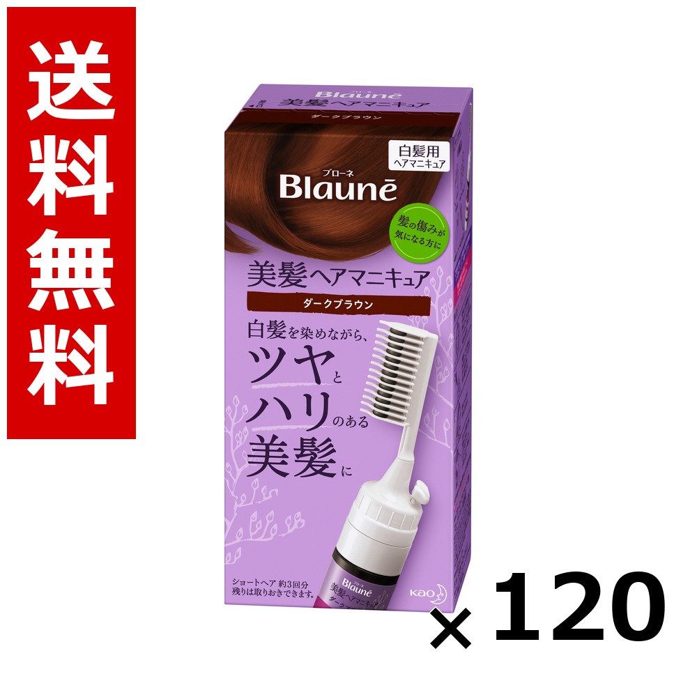 ブローネ 美髪髪の毛マニキュア 暗然たる赤銅色 クシつき 72g × 120個／5容れもの 貨物輸送無料 名取り草 ブローネ  白髪染め 髪の毛色つや 分け取り染め 髪の毛世話をする まとめ買い 御勤め用 容れもの売りわたす 箱買いとり 店卸し資産 日装置 疲労困憊品 大静電容量