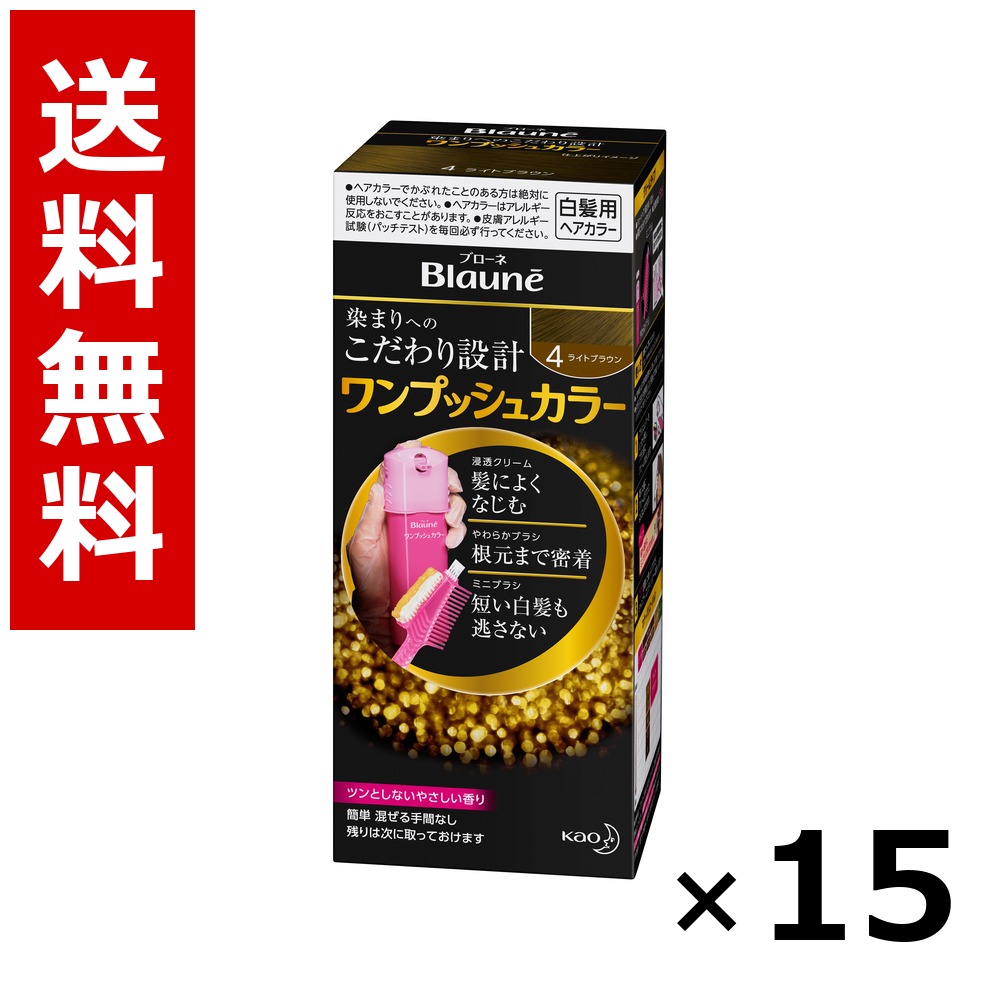 ブローネ ワンプッシュカラー 4 ライトブラウン 80g &times; 15個／送料無料 花王 ブローネ 白髪染め ヘアカラー 部分染め ヘアケア まとめ買い 業務用 ケース販売 箱買い ストック 日用品 消耗品 大容量｜北海道小六