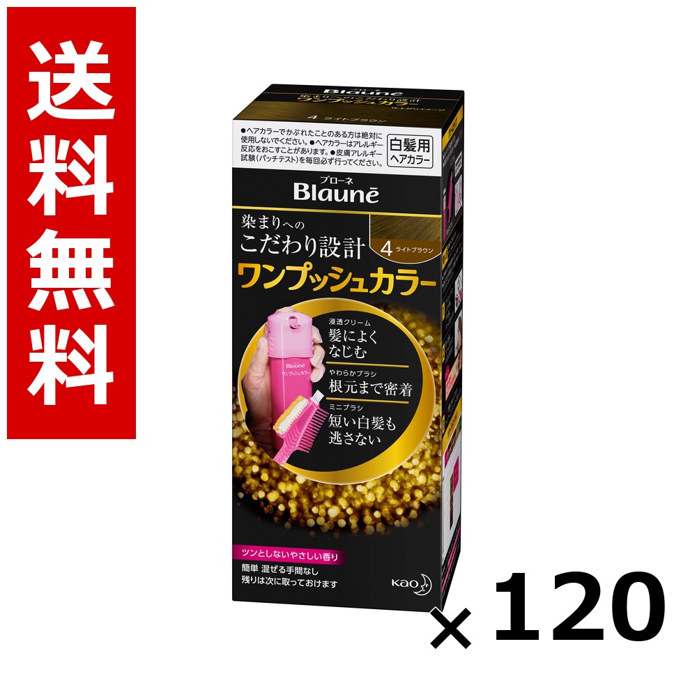 ブローネ ワンプッシュカラー 4 点火装置赤銅色 80g × 120個／5容れもの 貨物輸送無料 名取り草 ブローネ  白髪染め 髪の毛色つや 分け取り染め 髪の毛世話をする まとめ買い 御勤め用 容れもの売りわたす 箱買いとり 店卸し資産 日装置 疲労困憊品 大静電容量