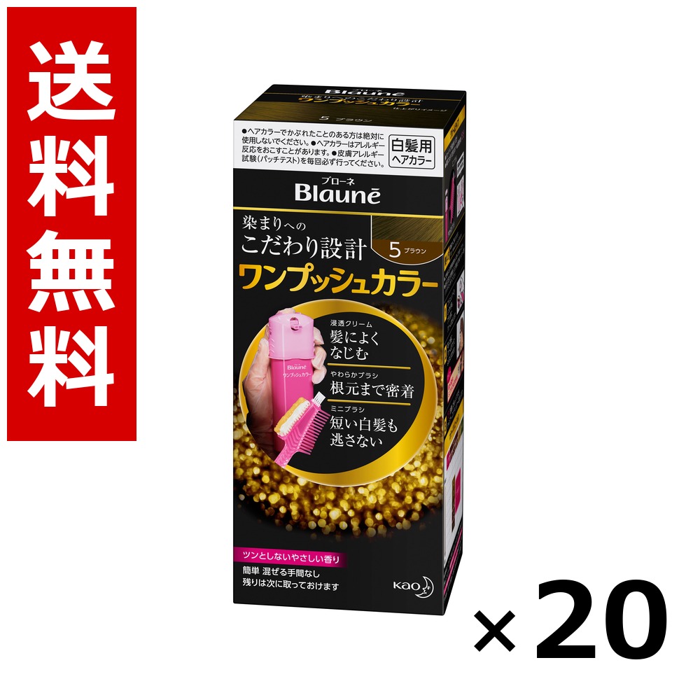 ブローネ ワンプッシュカラー 5:ブラウン 1剤40g、2剤40g &times; 20個／送料無料 花王 ブローネ 白髪染め ヘアカラー 部分染め ヘアケア まとめ買い 業務用 ケース販売 箱買い ストック 日用品 消耗品 大容量｜北海道小六