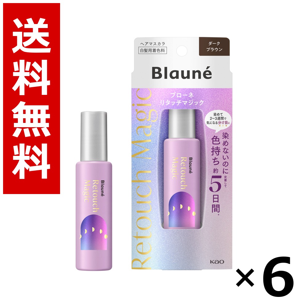 ブローネリタッチマジックダークブラウン 14ml &times; 6個／送料無料 花王 ブローネ 白髪染め ヘアカラー 部分染め ヘアケア まとめ買い 業務用 ケース販売 箱買い ストック 日用品 消耗品 大容量｜北海道小六
