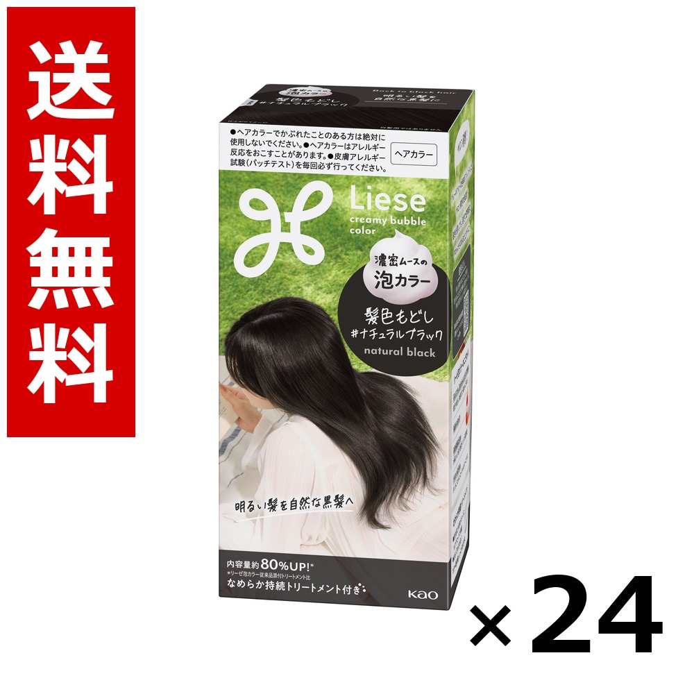 リーゼ 泡色合い 髪色もどし 自然的黒いこと 115ml × 24個／1入れもの 貨物輸送無料 名取り草 リーゼプリティア  髪の毛色合い 黒髪用 色合い輪っか 髪の毛世話をする まとめ買い 御役目用 入れもの売りわたす 箱買い上げ 買い溜める 日備品 疲労困憊品 大電気容量
