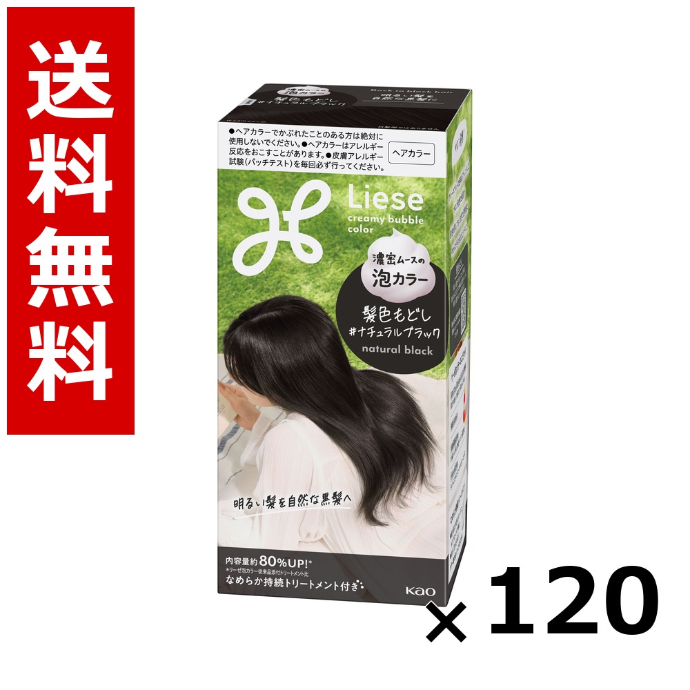 リーゼ 泡色つや 髪色もどし 自然的黒いこと 115ml × 120個／5容れもの 貨物輸送無料 名取り草 リーゼプリティア  髪の毛色つや 黒髪用 色つや輪っか 髪の毛世話をする まとめ買い 御勤め用 容れもの売りわたす 箱買いとり 店卸し資産 日装置 疲労困憊品 大静電容量