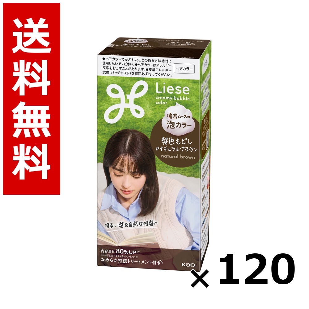 リーゼ 泡色つや 髪色もどし 自然的赤銅色 115ml × 120個／5容れもの 貨物輸送無料 名取り草 リーゼプリティア  髪の毛色つや 黒髪用 色つや輪っか 髪の毛世話をする まとめ買い 御勤め用 容れもの売りわたす 箱買いとり 店卸し資産 日装置 疲労困憊品 大静電容量