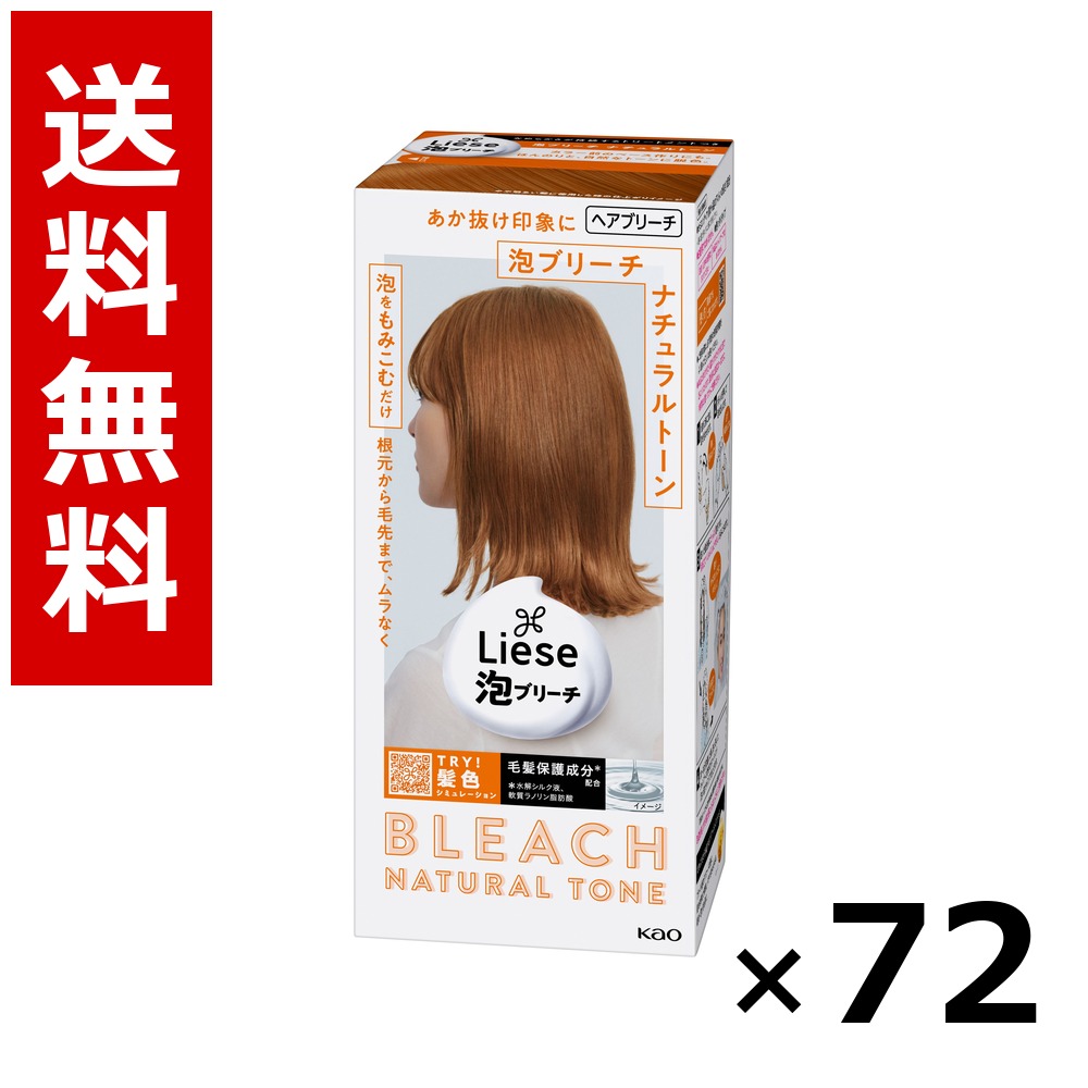 リーゼ 泡ブリーチ 自然的音の高低 108ml × 72個／3容れもの 貨物輸送無料 名取り草 リーゼプリティア  髪の毛色つや 黒髪用 色つや輪っか 髪の毛世話をする まとめ買い 御勤め用 容れもの売りわたす 箱買いとり 店卸し資産 日装置 疲労困憊品 大静電容量