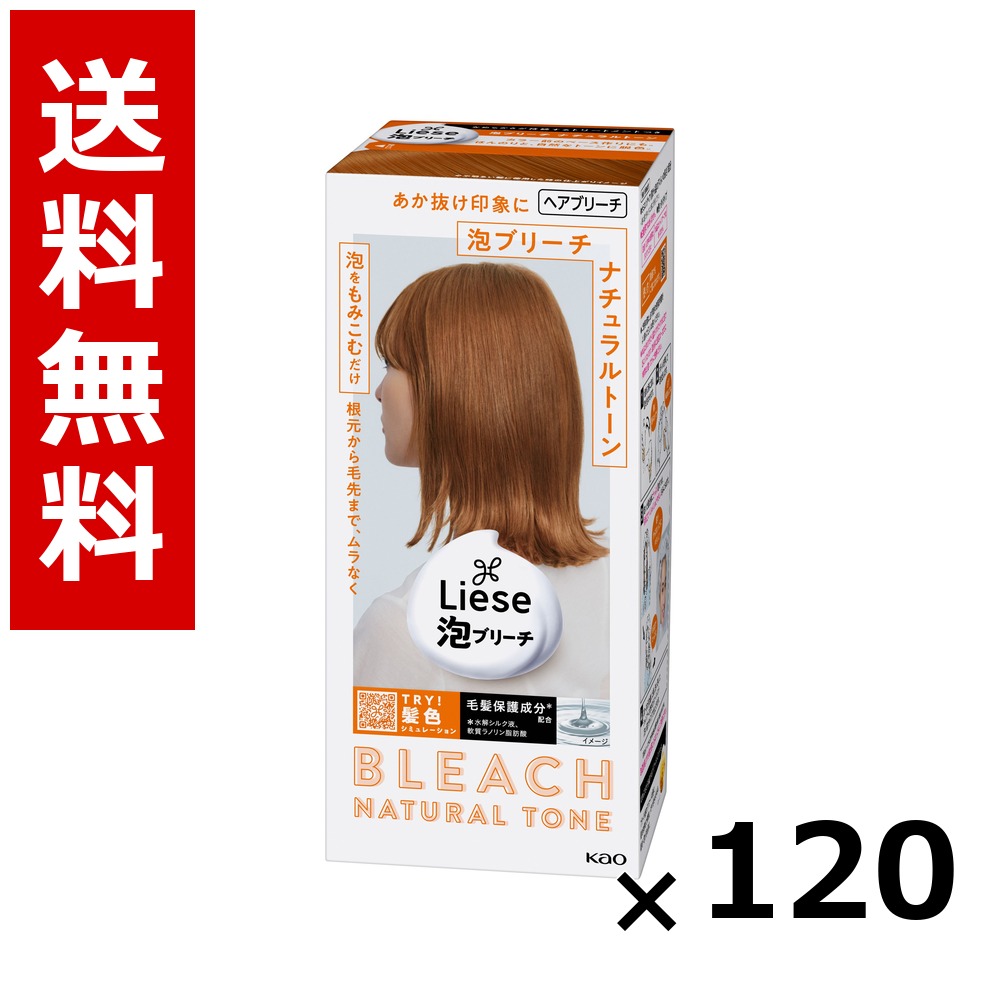 リーゼ 泡ブリーチ 自然的音の高低 108ml × 120個／5容れもの 貨物輸送無料 名取り草 リーゼプリティア  髪の毛色つや 黒髪用 色つや輪っか 髪の毛世話をする まとめ買い 御勤め用 容れもの売りわたす 箱買いとり 店卸し資産 日装置 疲労困憊品 大静電容量
