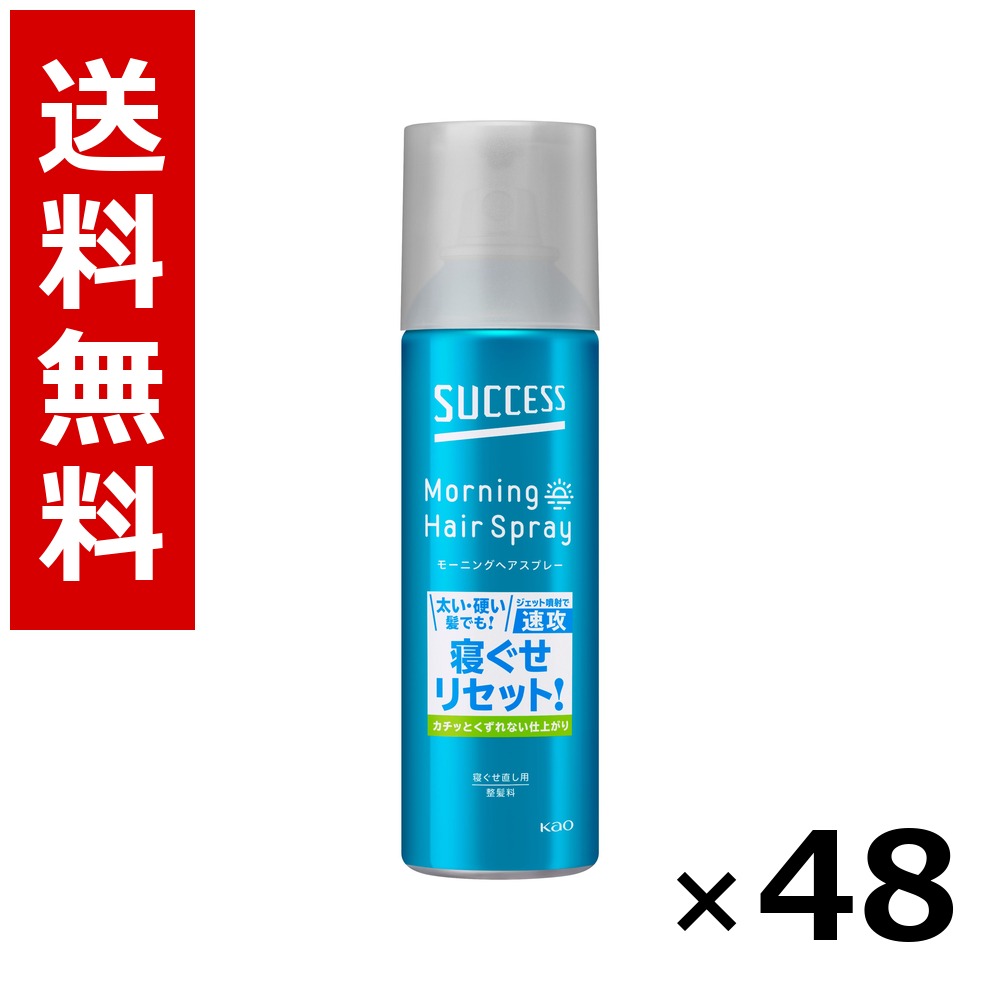 サクセス モーニングヘアスプレー 220g &times; 48個／2ケース 送料無料 花王 サクセス まとめ買い 業務用 ケース販売 箱買い ストック 日用品 消耗品 大容量｜北海道小六