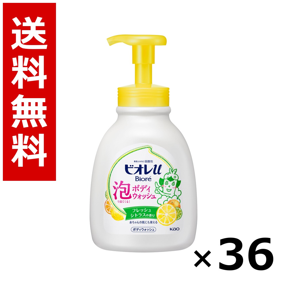 ビオレu泡で出てくるボディウォッシュ フレッシュシトラスの香り ポンプ 600ml × 36個/4ケース 送料無料 花王 ビオレ ボディソープ ハンドソープ 石けん 保湿 清潔 まとめ買い 業務用 ケース販売 箱買い ストック 日用品 消耗品 大容量|北海道小六