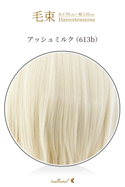 キューティフルウィッグ　シャンパンゴールド ex-613b.jpg