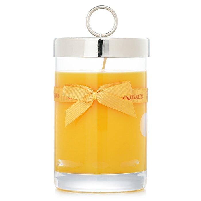 Rigaud Scented Candle - No. Tournesol 230gRigaud Scented Candle - No. Tournesol 230g 送料無料 【海外通販】