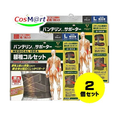 【2個仕かける】 【興和】 バンテリンコーワサポーター 腰椎ガードル 黒いこと L大いさ 縦幅24珊の広広とした心積もり （4987067311408-2） 健康グッズ-矯正グッズ-腰用