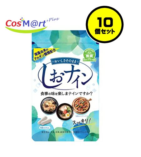【10個書き割り】 しお野球クラブ 48宇宙カプセル入り口・入口 (4987879610096-10) 【ゆうパケットにて送りとどける】