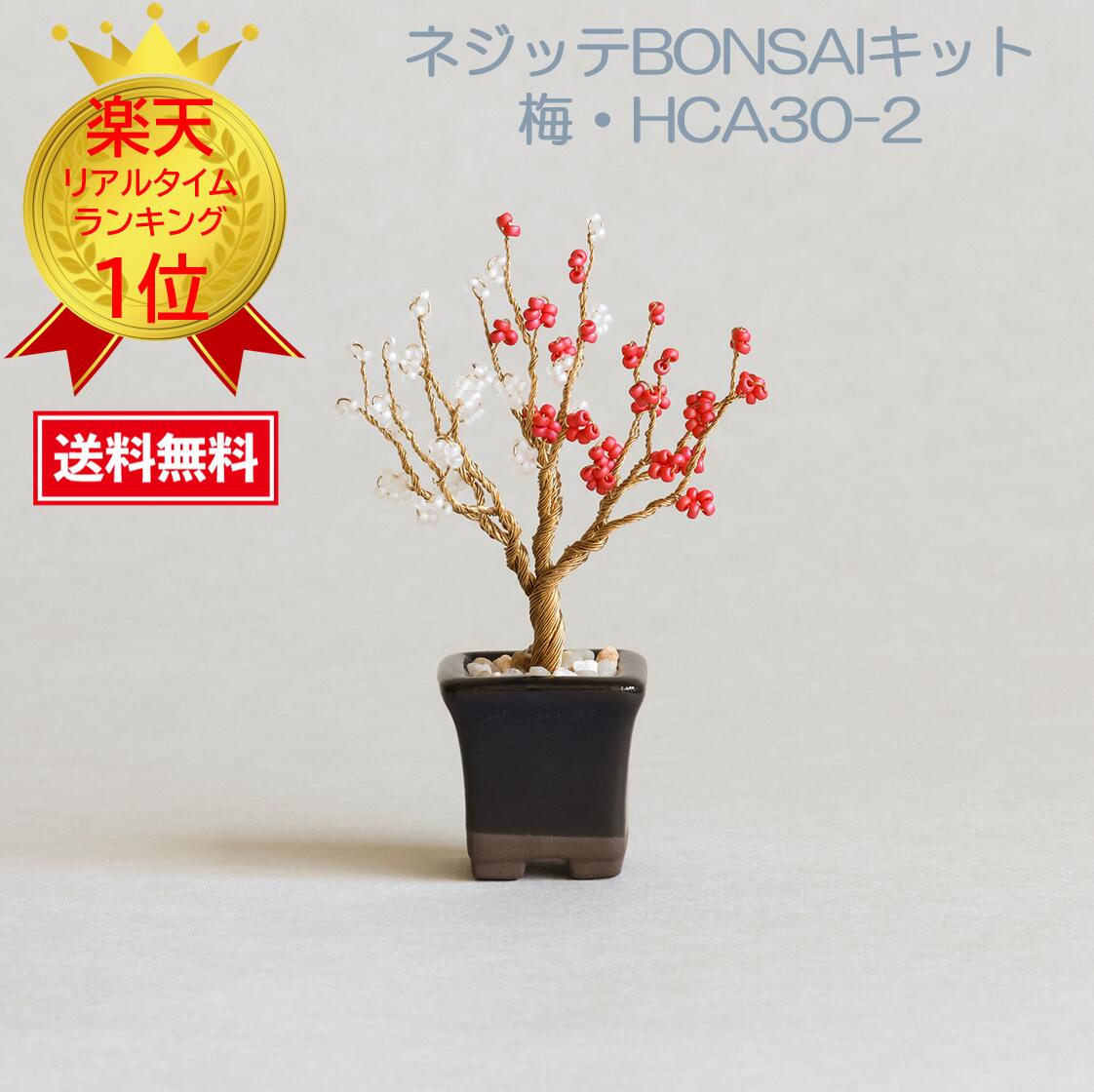01_bonsai_hca30_2v2.jpg