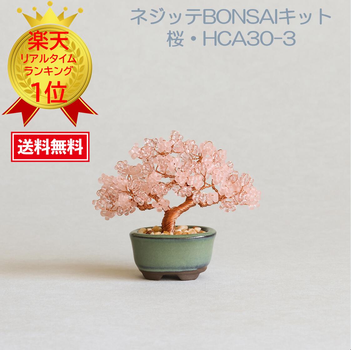 【中品　欅盆栽】真柏…　　　　　☆Lisbeth様 7/20～21日引き取り❗ 中品 欅盆栽】真柏… ☆Lisbeth様 7/20～21日引き取り❗