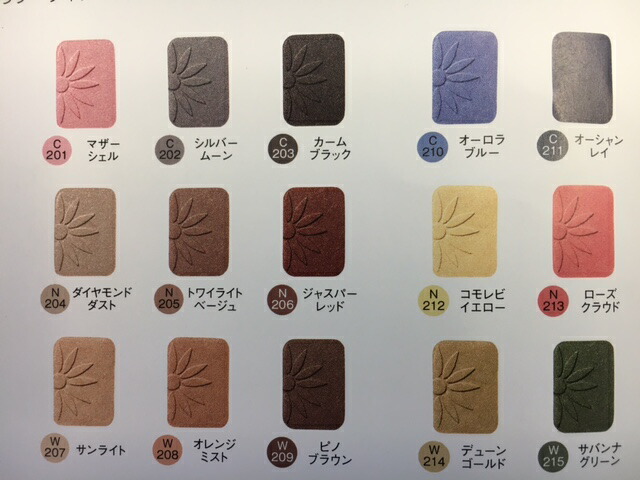 アルソアシェードオンとケース