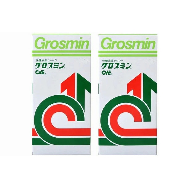 クロレラ実業 グロスミン 500錠 2個書き割り【送りとどけるA】