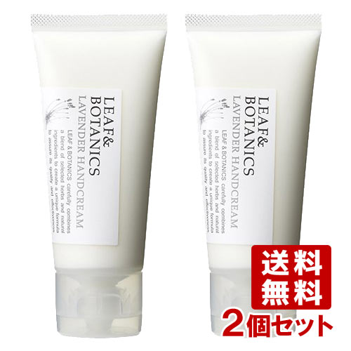 ⭐︎ロエベ　リキッドソープ　トマトリーフ　ハンドソープ　ショップ袋+リボンた付 フレッシュな香り LOEWE ロエベ トマトリーフ リキッドソープ