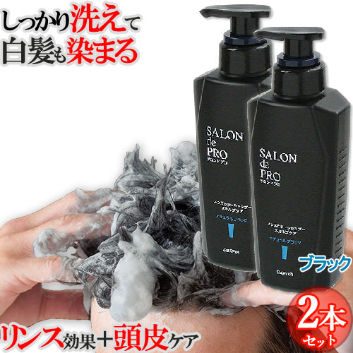 白髪染め シャンプー 450g[品番：DRAE0004422]｜Cosme Dream
