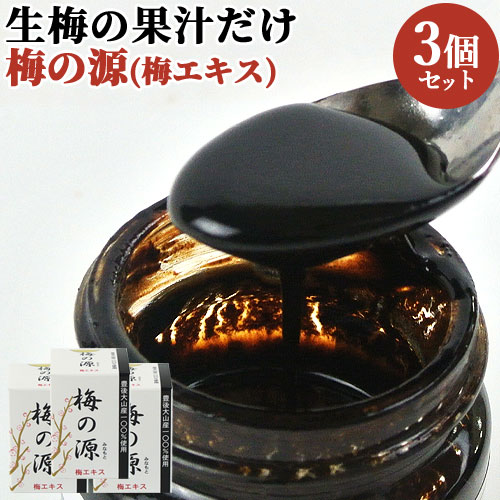 添加物不使用 豊後大山産100%使用 梅の源 梅エキス 40g×3 日田 大山町 大分県 うめ 梅肉エキス 液状 ながお梅園【送料込】