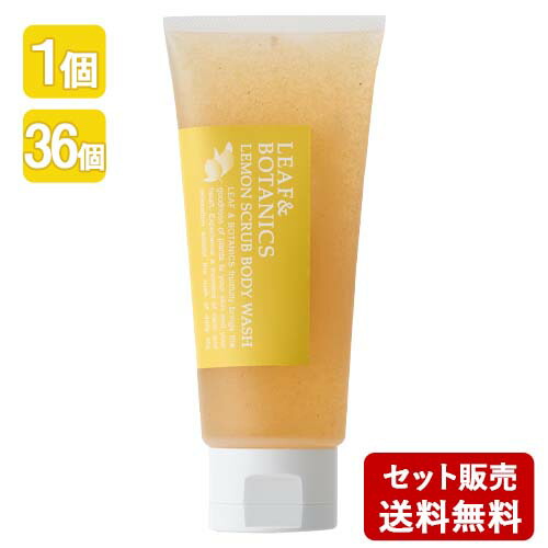 月入れ替わり特価SALE