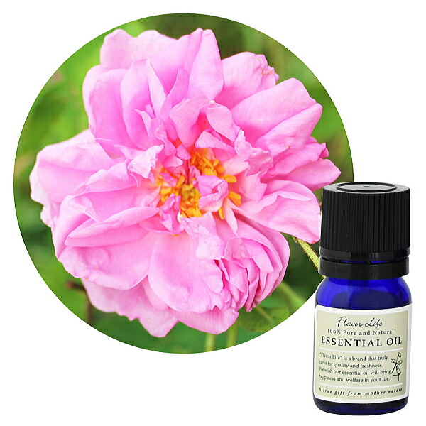 フレーバーライフ社 FL 精油 ローズオットー 3ml - フレーバーライフ社 楽天市場】Flavor life（フレーバーライフ） ローズオットー 3ml