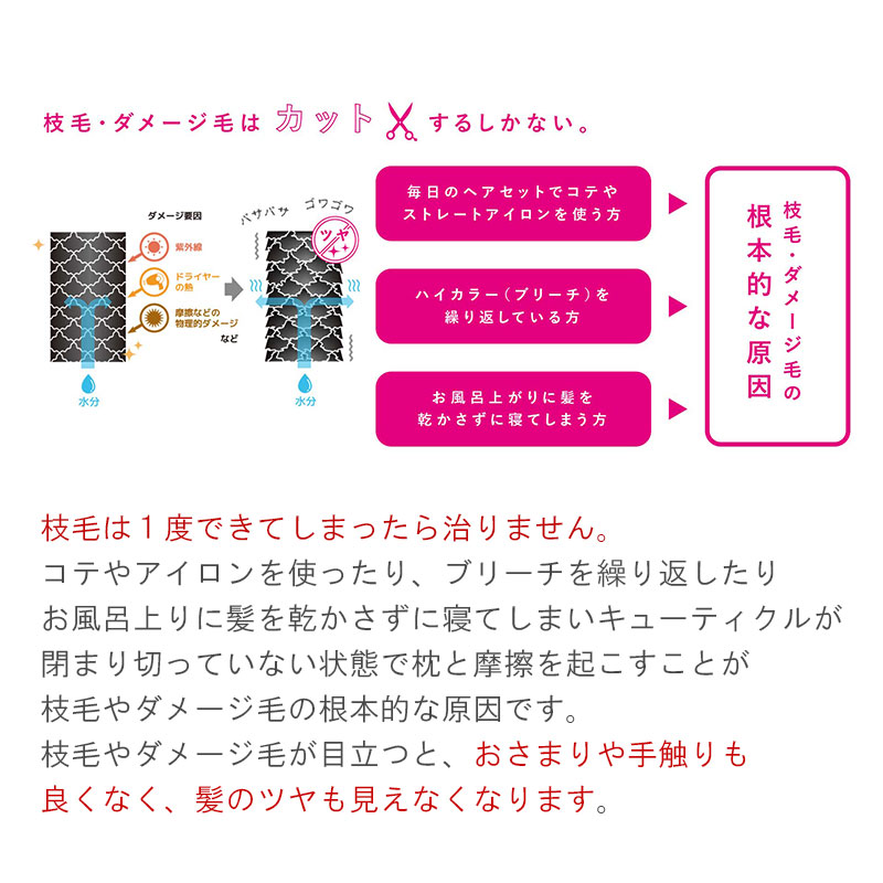 開店記念セール スプリットエンダー ミニ ブルー Split Ender Mini 枝毛カット専用機器 ダメージ毛カット スタイリング ヘアケア シンビシン 美容の雑貨屋さん 店 特価 Www Purpleforparents Us