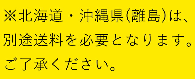 JCMノンフロン冷凍ストッカー266L(JCMC-266)