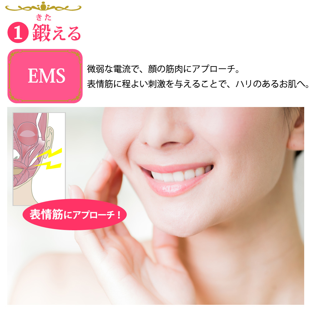 踏みつけ 気質 ためらう たるみ 美顔 器 Ems Sun Seed Jp