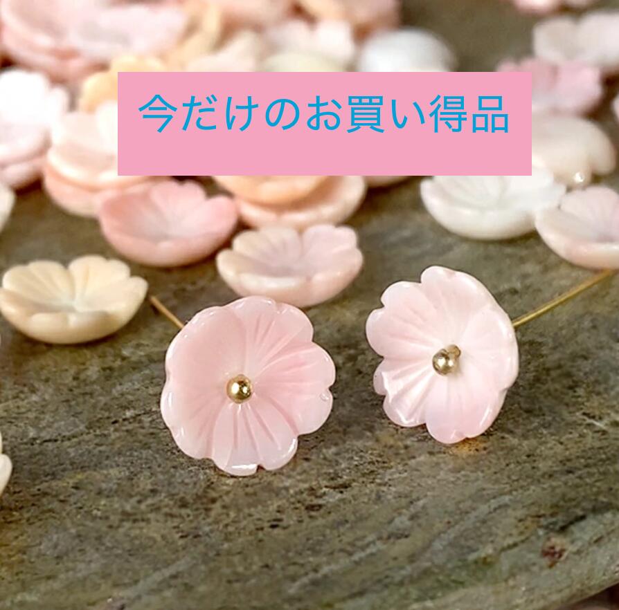 楽天市場】コンクシェル/母貝/ピンク/ディスプレイシェル/天然貝