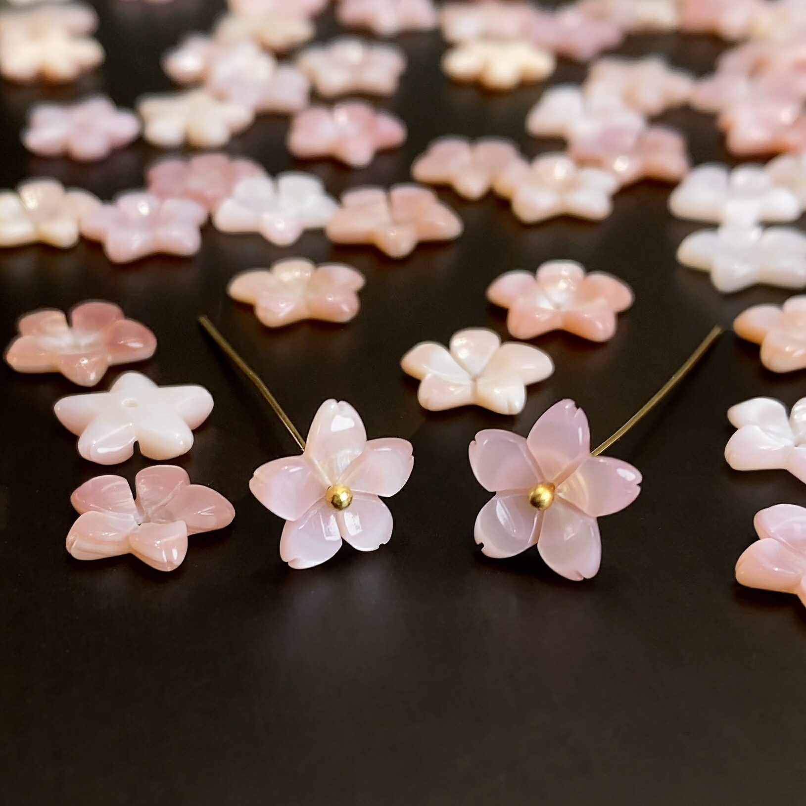 甲殻 貝さくら色甲殻（桜 さくら 櫻）大きいさ 約9粍穴径 約0.8粍