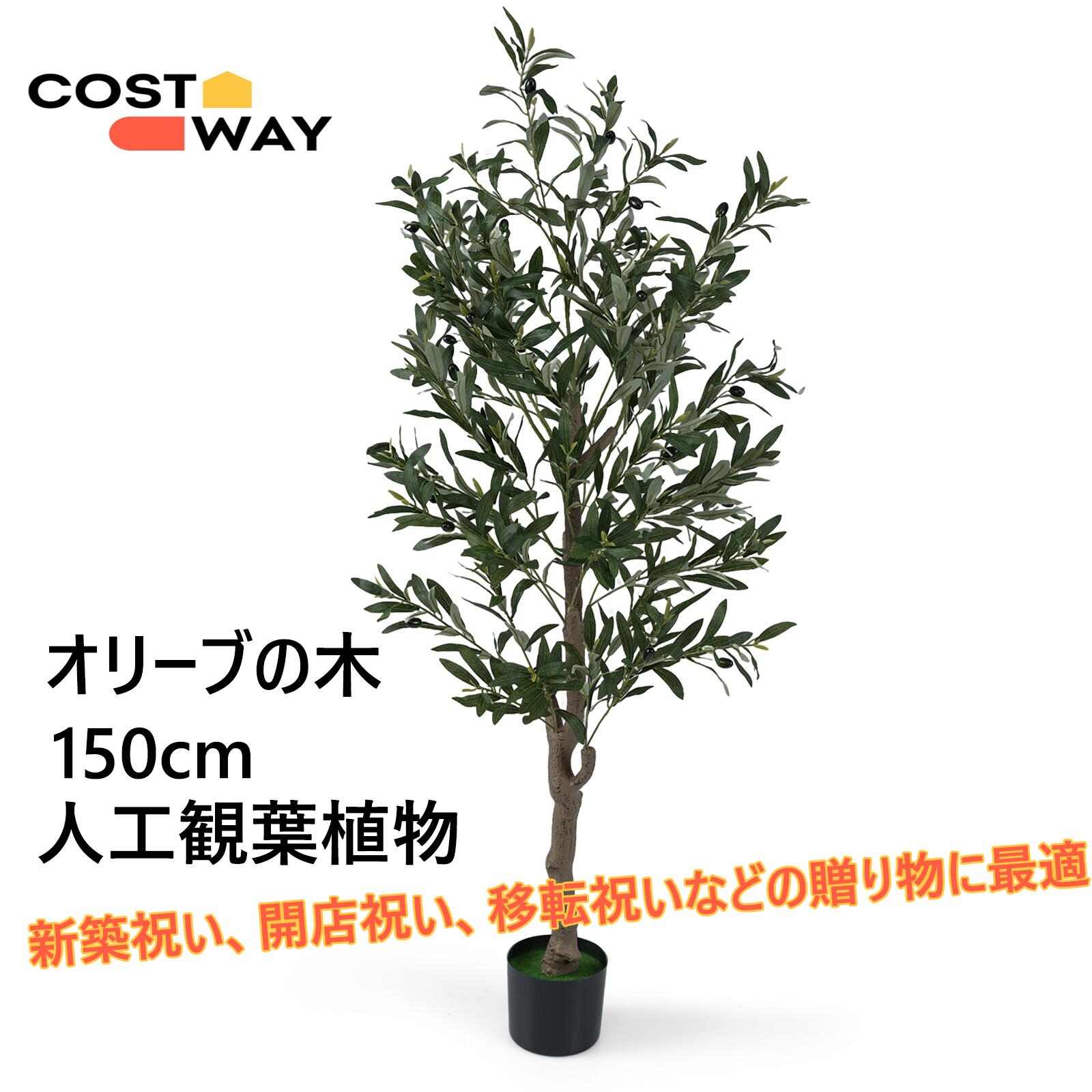 移動性人並み外れた出むかえ社会的運動