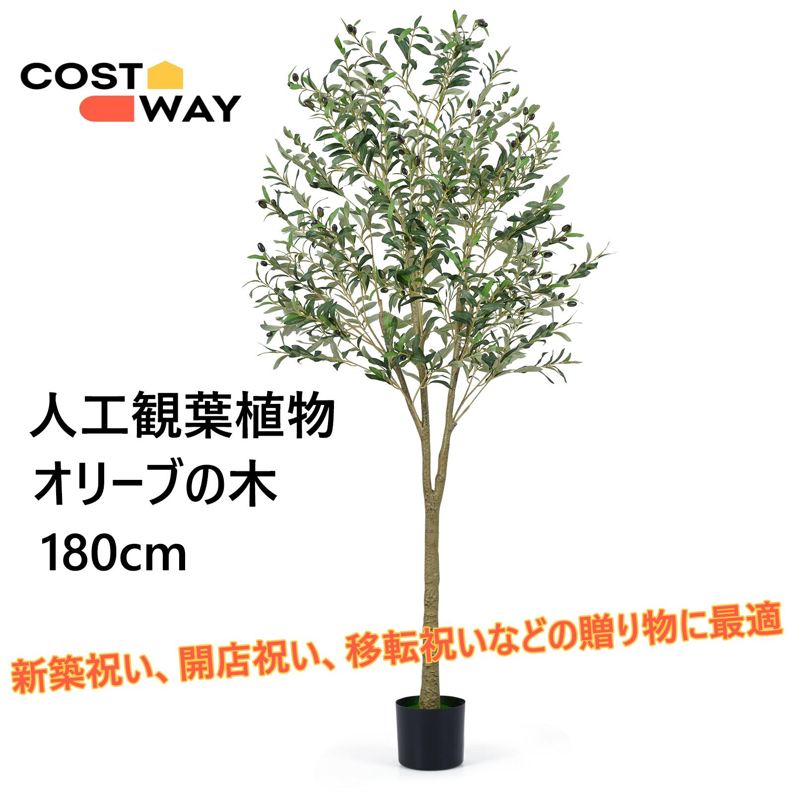 楽天市場】オリーブの木 フェイクグリーン 180cm 観葉植物 フェイク